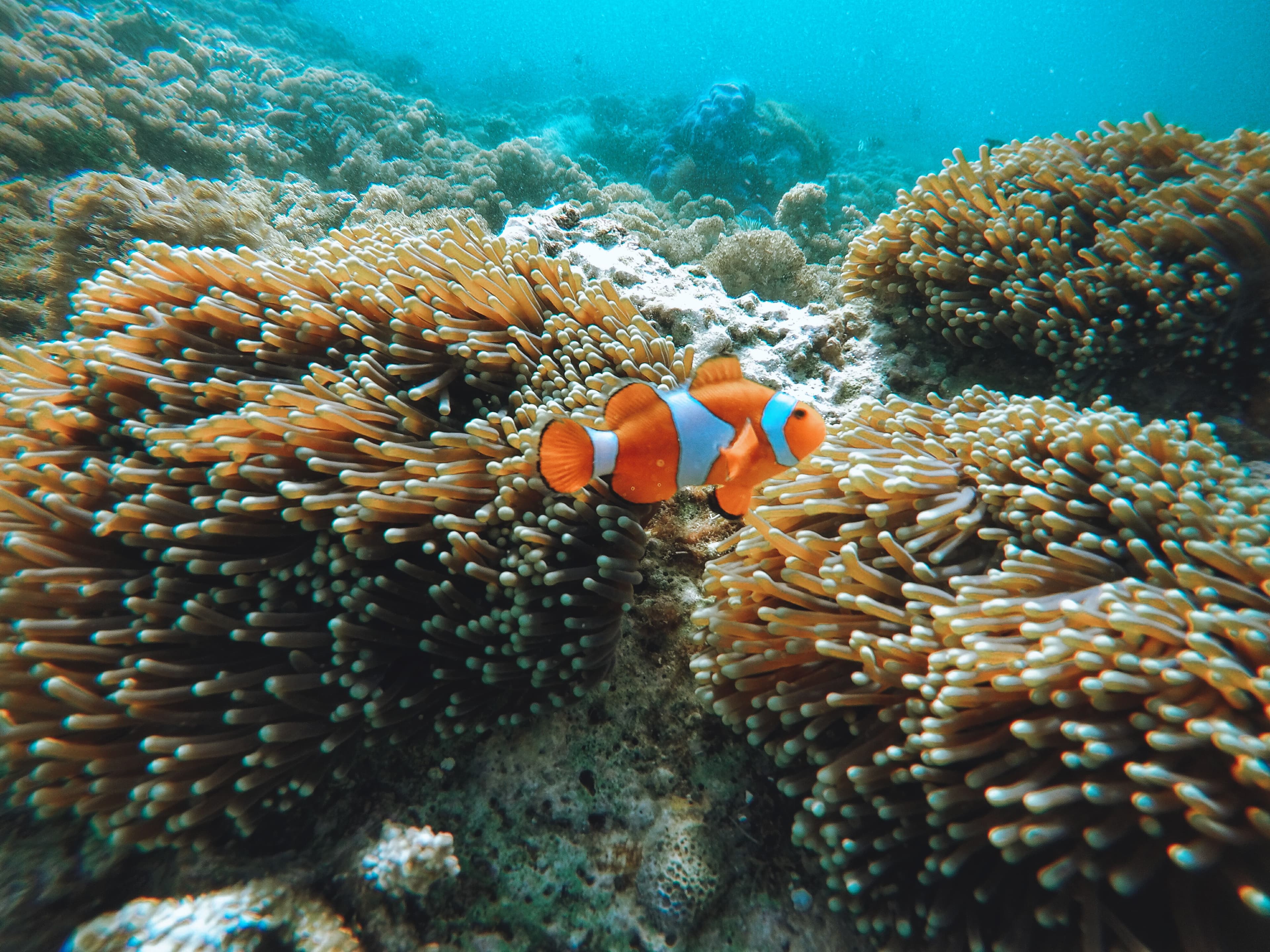 PAKET WISATA 3 HARI 2 MALAM OPSI A
